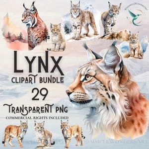 Watercolor Lynx clipart bundle high quality PNG digital download commercial use digital paper crafting transparent background