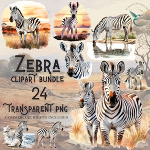 Bundle de cliparts zèbre aquarelle haute qualité PNG en téléchargement numérique à usage commercial projets d'artisanat en papier fond transparent