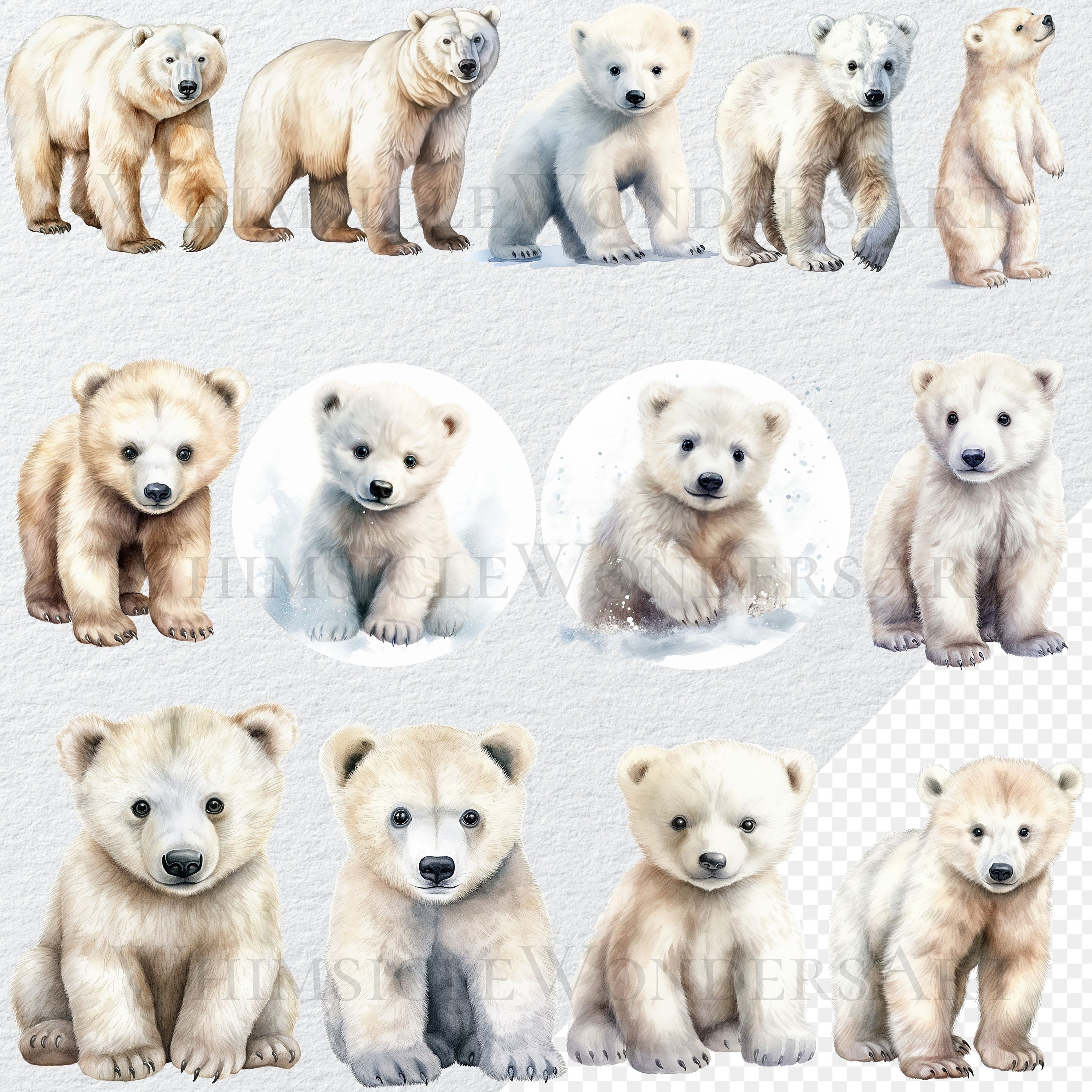 Watercolor Polar Bear Clipart Bundle, Transparent PNG (digital Download ...
