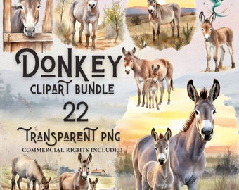 Watercolor donkey clipart bundle 22 high quality PNG digital download commercial use digital paper crafting projects transparent background