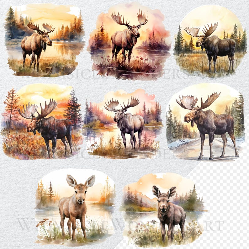 Watercolor Moose Clipart Bundle, PNG Files (digital Download) - Etsy