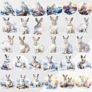 Watercolor Arctic Animals Clipart Bundle, PNG, Commercial Use (digital ...