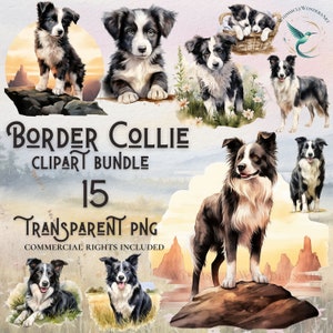 Watercolor border collie clipart bundle high quality PNG digital download commercial use digital paper crafting transparent background