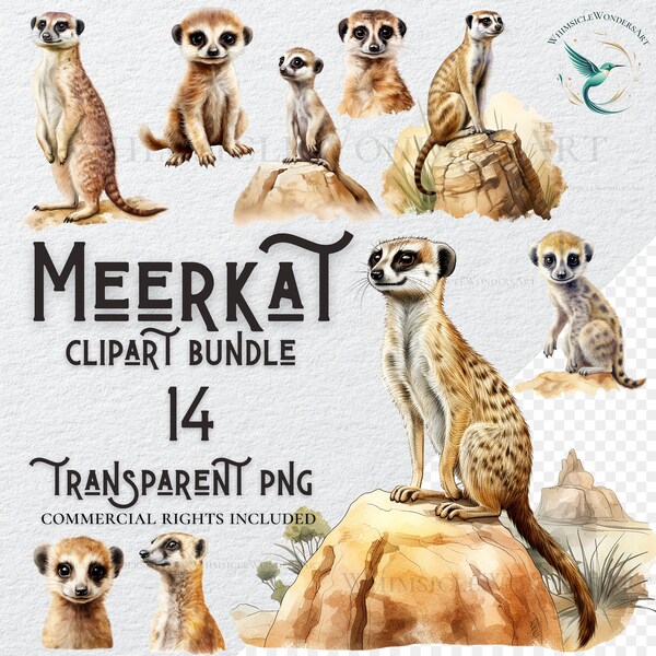Watercolor Meerkat clipart bundle high quality PNG digital download commercial use digital paper crafting projects transparent background