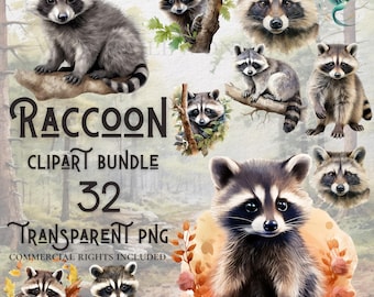 Watercolor Racoon clipart bundle high quality PNG digital download commercial use digital paper crafting projects transparent background