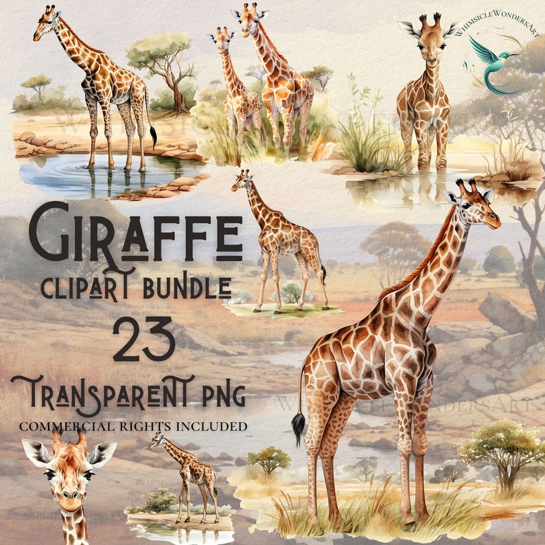 May include: A digital clipart bundle of 23 watercolour illustrations of giraffes in various poses. The giraffes are depicted in a natural setting with a watercolour background. The text "Giraffe Clipart Bundle 23 Transparent PNG Commercial Rights Included" is displayed on the image.