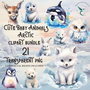 Arctic clipart bundle 21 high quality PNG digital download commercial use digital paper crafting projects transparent background