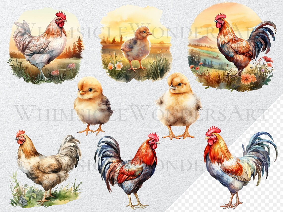 Watercolor Chicken Clipart Bundle, Farm Animal PNG (digital Download ...