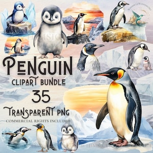 Paquete de imágenes prediseñadas de pingüino acuarela de alta calidad PNG descarga digital uso comercial proyectos de elaboración de papel digital fondo transparente