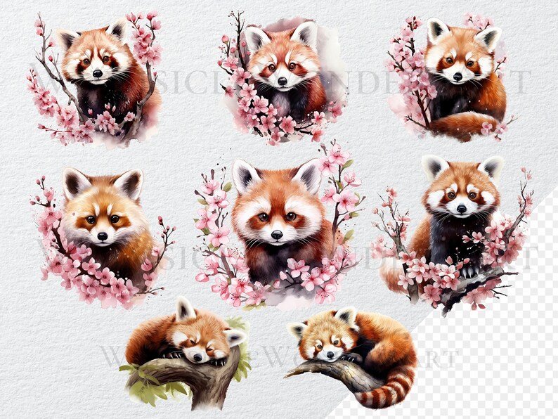 May include: Nine watercolor illustrations of red pandas in various poses. Some are surrounded by pink cherry blossoms, while others are sleeping on tree branches.