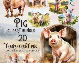 Watercolor Pig Clipart Bundle: 20 PNGs, Commercial Use (Digital Download)