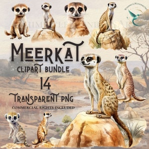 Paquete de imágenes prediseñadas de suricata en acuarela, Descarga digital PNG de alta calidad, Uso comercial, Proyectos de elaboración de papel digital, Fondo transparente