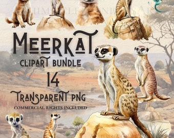 Watercolor Meerkat Clipart Bundle, PNG Graphics (Digital Download)
