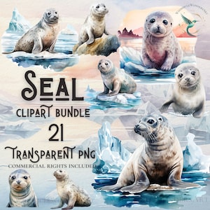 Watercolor Seal clipart bundle high quality PNG digital download commercial use digital paper crafting transparent background