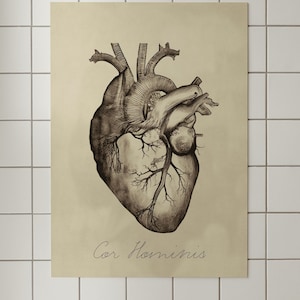 Simple Human Heart Diagram Art Print by Vintage Anatomy Prints - Fine Art  America