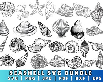 Seashell SVG Bundle, Seashell PNG Bundle, Seashell Clipart, Seashell SVG Cut Files for Cricut, Seashell Silhouette, Sea world svg, Shell svg