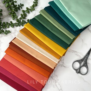 Autumn Stroll - Curated Bundle - AGF PURE Solids - Art Gallery Fabrics