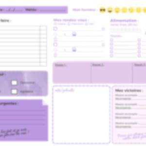 Planner journalier - Spécial TDAH - Version Pompon