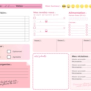 Planner journalier - Spécial TDAH - Version Shiny