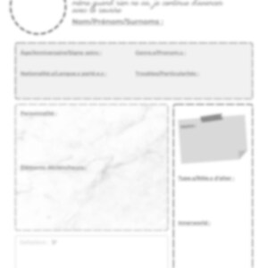 Fiche Alter - Spécial TDI - 12 versions
