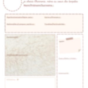 Fiche Alter - Spécial TDI - Version Snow