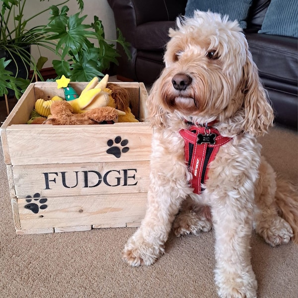 Rustic wooden personalised dog toy storage box.