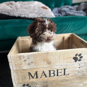 Rustic, personalised dog toy storage box