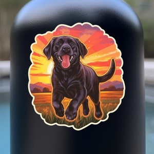 Waterdichte vinylsticker Black Lab Labrador Retriever-hond rent door een prachtig veld bij zonsondergang