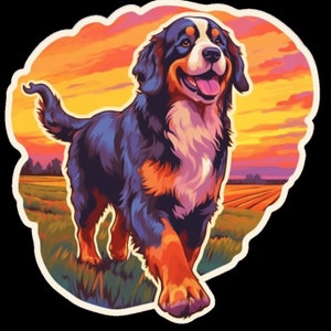 Waterdichte vinylsticker Berner sennenhond rent door een prachtig veld bij zonsopgang, zonsondergang V2