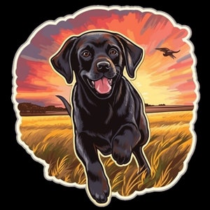 Waterdichte vinylsticker Black Lab Labrador Retriever-puppy die door een prachtig veld loopt bij zonsopgang en zonsondergang!