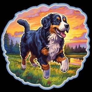 Waterdichte sticker Berner Sennenhond rent door een prachtig veld bij zonsopgang, zonsondergang V4