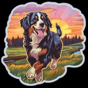 Waterdichte sticker Berner Sennenhond rent door een prachtig veld bij zonsopgang, zonsondergang V3