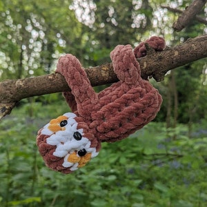 Peut inclure: Un paresseux en crochet marron suspendu à une branche d'arbre. Le paresseux a des accents blancs et orange sur son visage et des yeux noirs.