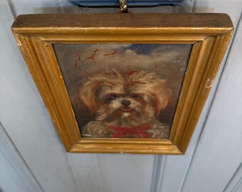 マルチーズまたはシーズー犬の小さなアンティーク油絵肖像画習作