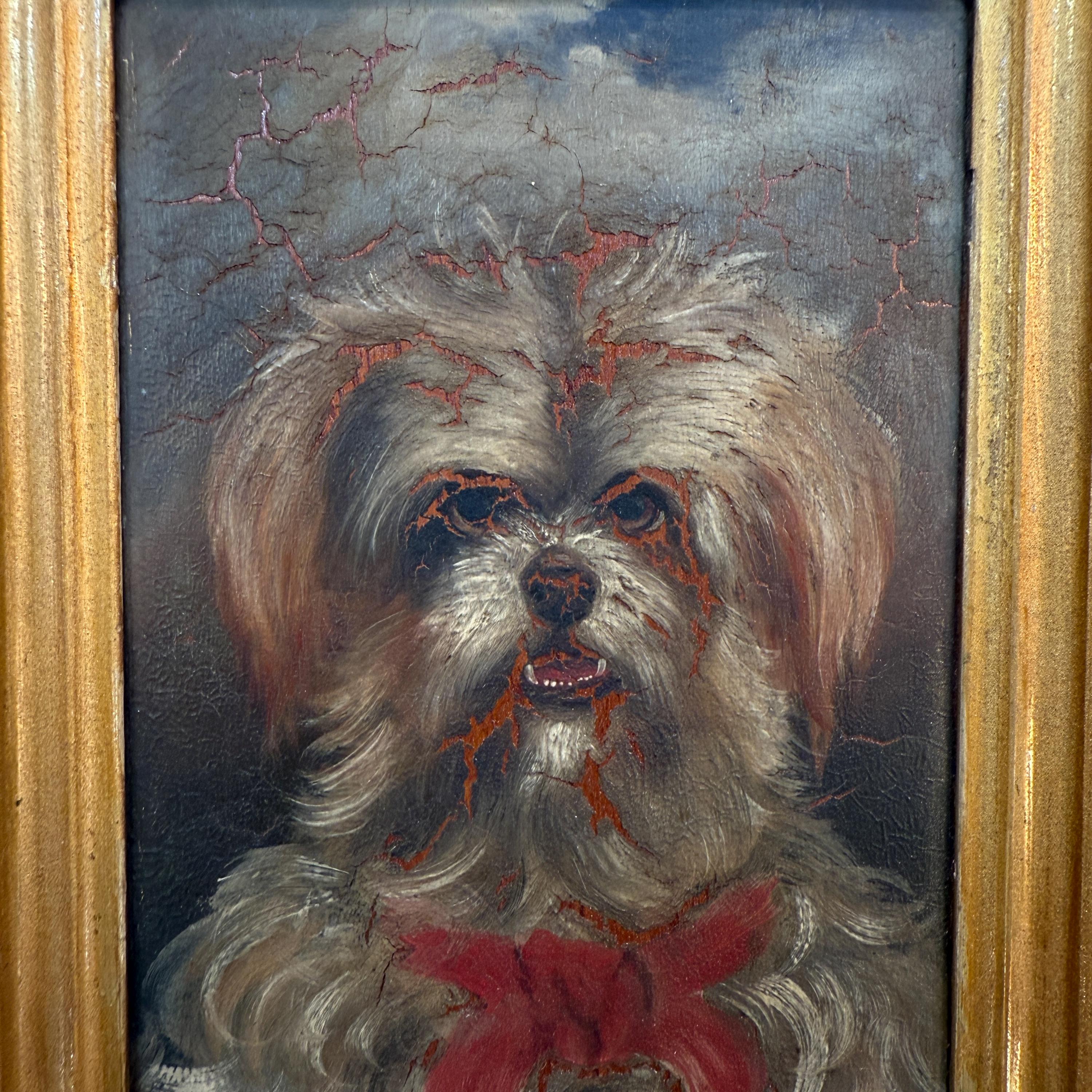 マルチーズまたはシーズー犬の小さなアンティーク油絵肖像画習作