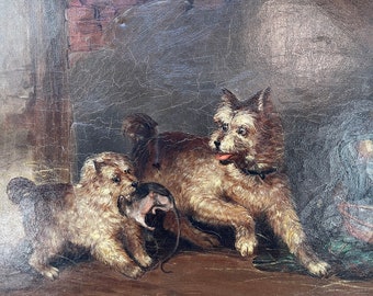 Rat Infestation Rat Terrier Hunting Dog Jagdterrier Dog Breed