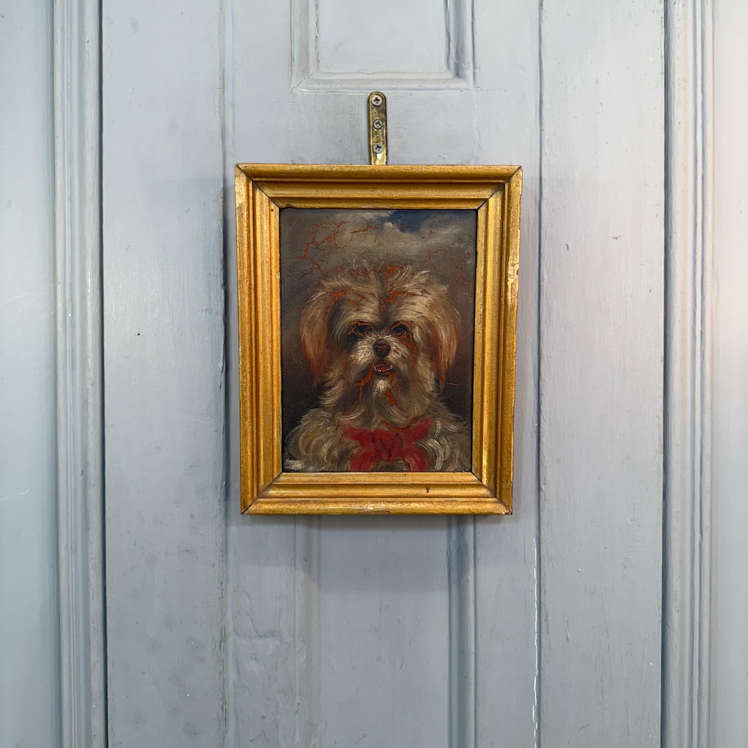 アンティークの犬の油彩画 ＊油絵 マルチーズまたはシーズー犬の小さなアンティーク油絵肖像画習作