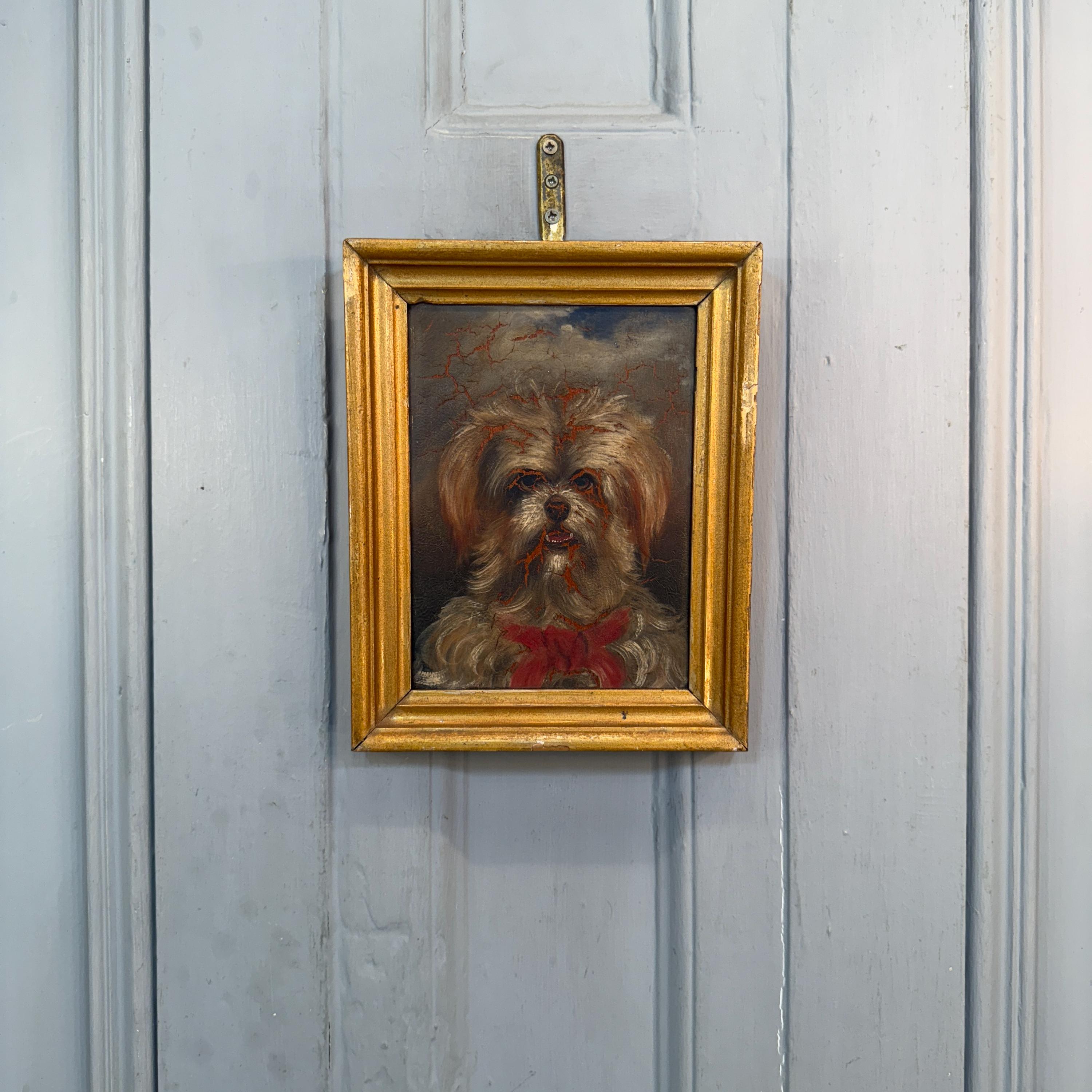 マルチーズまたはシーズー犬の小さなアンティーク油絵肖像画習作