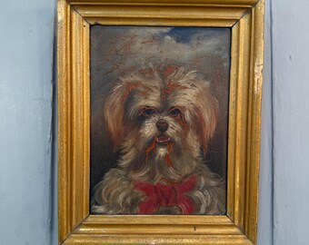 アンティークの犬の油彩画 ＊油絵 マルチーズまたはシーズー犬の小さなアンティーク油絵肖像画習作