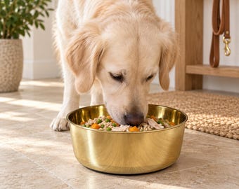 Solid Brass Dog Cat Food Bowl, Polished Finish, Handcrafted Pet Feeder