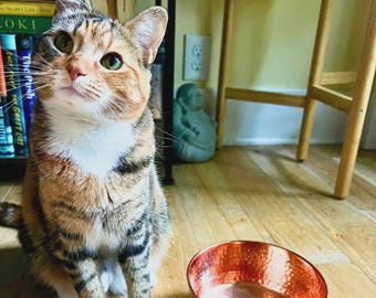 Copper Dog & Cat Bowl with Pet-Safe Copper, Brass, and other Metal Cleaner