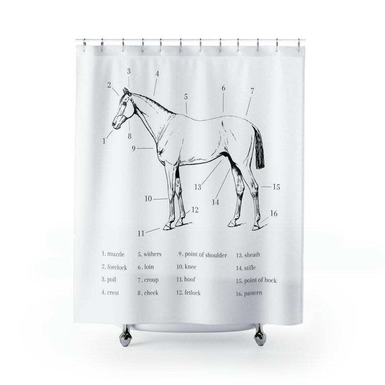 Parts of the Horse Shower Curtain Etsy