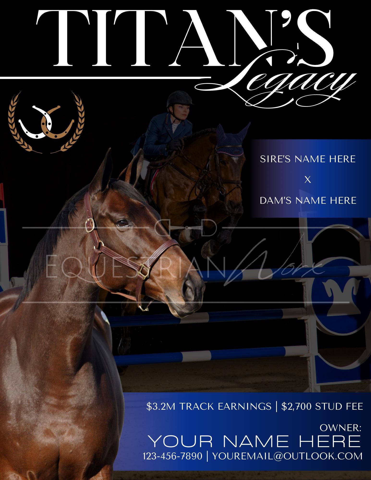 Custom Equine Flyer Design | Horse Sales, Breeder Promotion (digital ...