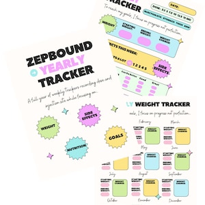 Yearly Zepbound Printable/Digital Tracker