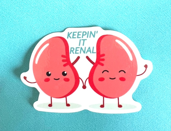 Kidney stickers; cute nurse stickers; transplant stickers; dialysis stickers; renal patient; water bottle stickers; funny nurse stickers