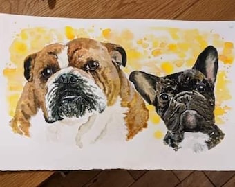Pet Portraits