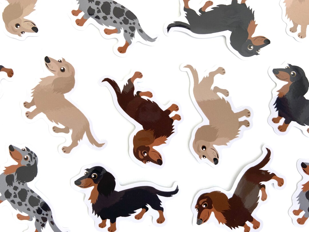 Honk If You Like Wieners Sticker- 5" Decal {WHITE}- Wiener Dog Stickers