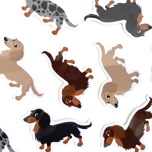 Longhaired Dachshund Sticker Waterproof Vinyl Sticker Longhaired Wiener Dog Stickers