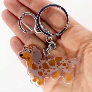Dapple Long-Haired Dachshund Keychain: Clear Acrylic Charm