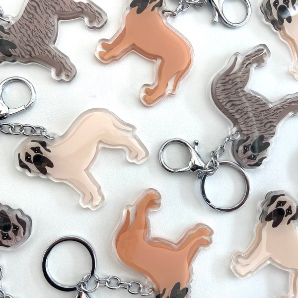 Mastiff Keychain Cute Charm Clear Plastic and Resin Silver Key Ring Cute English Mastiffs Gifts